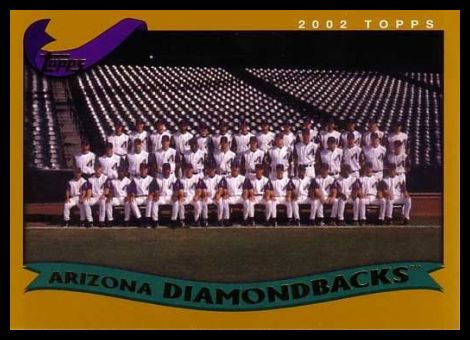 642 Diamondbacks Team